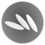 webox-logo